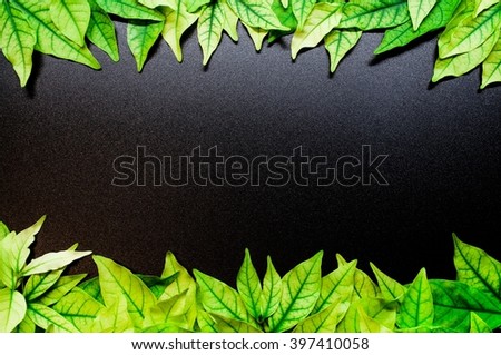 Green leaves frame isolated on black background.