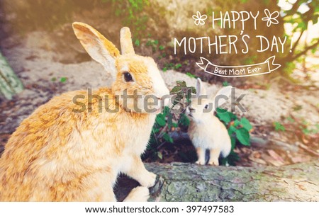 Mothers Day message with mother and child rabbits