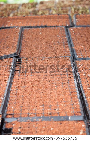 Checkered soil prepare for cultivation, stock photo