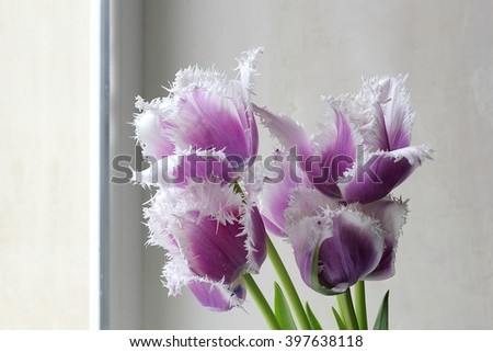 Five pink flowers on window background
