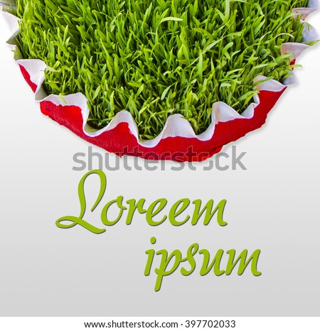Novruz bayrami
