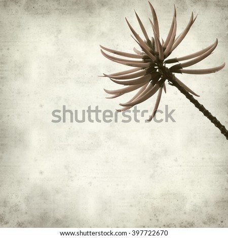 textured old paper background with flowers of Erythrina, coral tree