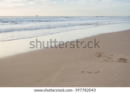beautiful summer sand beach and sea surf