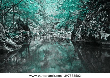 Beautiful landscape in various colors, dreamy look. Nature reflections in water