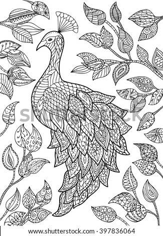 Vector hand drawn peacock illustration. Adult coloring page.