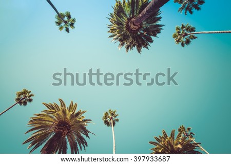 Vintage Rodeo Drive Beverly Hills Captivating crown-liked Palm Trees Royalty-Free Stock Photo #397933687