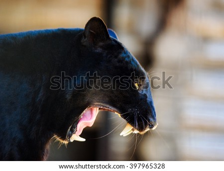 black Panther