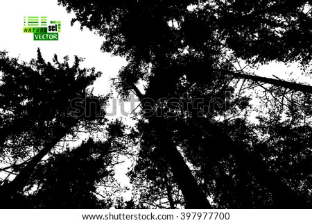 Tracing forest trees trunks. Vector