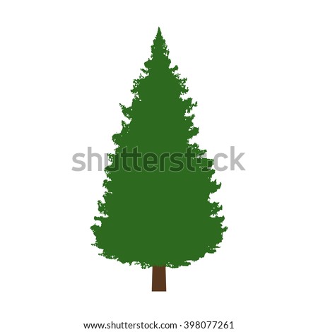 Evergreen conifer / pine tree flat vector color icon for apps and websites