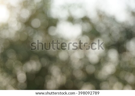 colorful green nature blur bokeh abstract sunlight in the forest, summer or spring season background