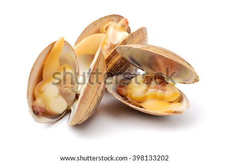clams isolated on white background Royalty-Free Stock Photo #398133202