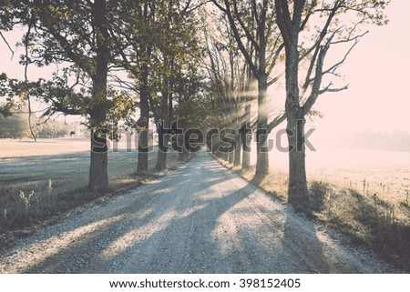 empty road in the countryside with trees in surrounding. perspective in autumn - vintage film effect