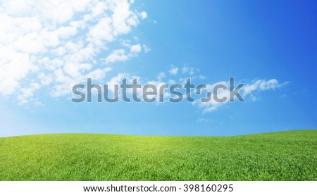 Green spring field