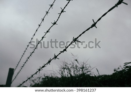 barbed wire 