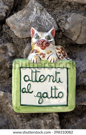 Attenti al gatto: beware of the cat