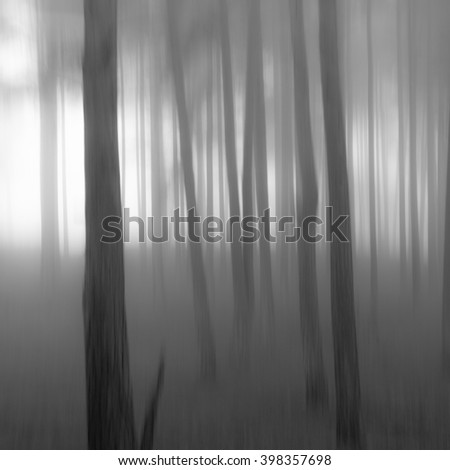 Intentional camera movement shot of trees in fog