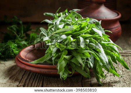 Fresh green tarragon in a beam in an earthenware pot on the old wooden background in rustic style, selective focus Royalty-Free Stock Photo #398503810
