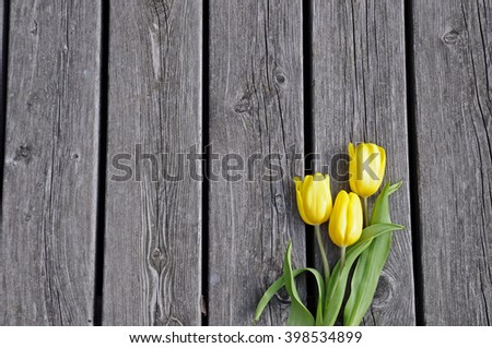 White wooden floor with 3 tulips 2