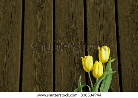 Brown Wooden floor with 3 tulips