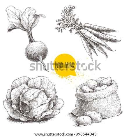 Hand drawn sketch style vegetables set. Cabbage, beet root with leafs, sack with potatoes and bunch of carrot. Farm fresh food isolated on white background.