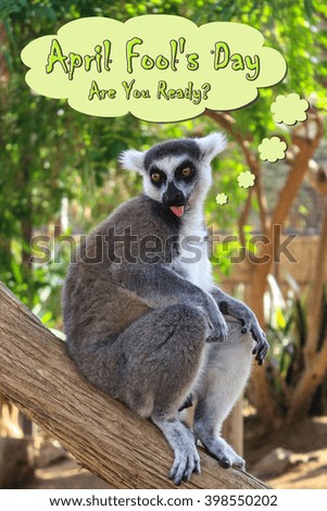 Funny lemur on a tree picture with April Fools Day caption in cloud