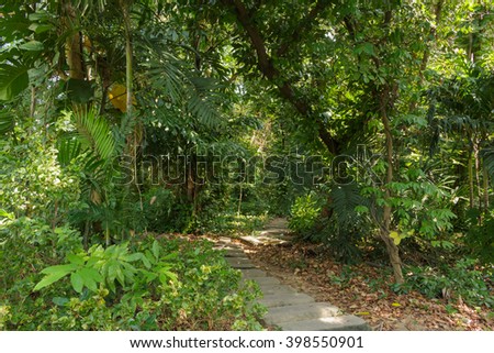 trail in the woods Royalty-Free Stock Photo #398550901