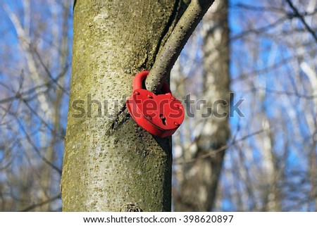 Door lock in the form of red heart hangs on a tree. Wedding symbol of love