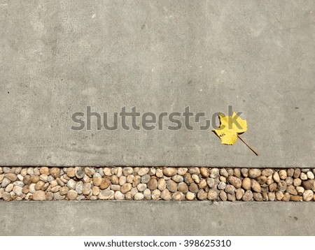 Yellow leaf on the cement floor with small stone.