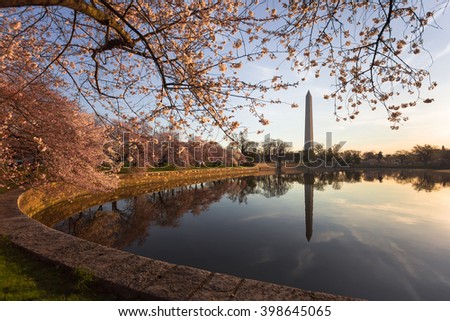 Washington Monument, National Cherry Blossom Festival, Washington, DC
