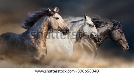 Horses with long mane portrait run gallop in desert dust Royalty-Free Stock Photo #398658040
