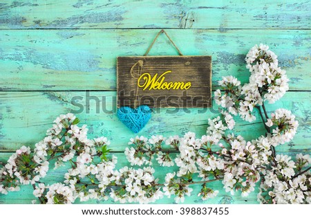 Welcome sign with teal blue rope heart hanging by spring flowering tree branch on antique rustic mint green wood background; white blossoms border