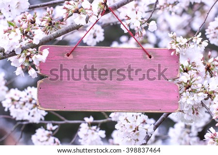 Blank pink sign hanging from spring flowering tree branch; white blossoms blurred in background