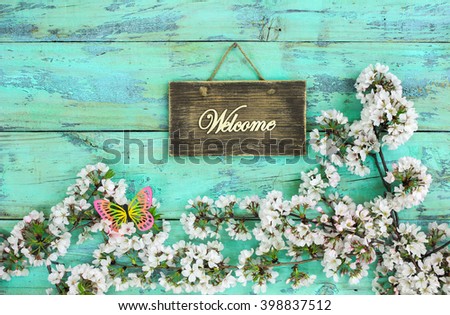 Welcome sign hanging by spring flowering tree branch on antique rustic mint green wood background; white blossoms and butterfly border