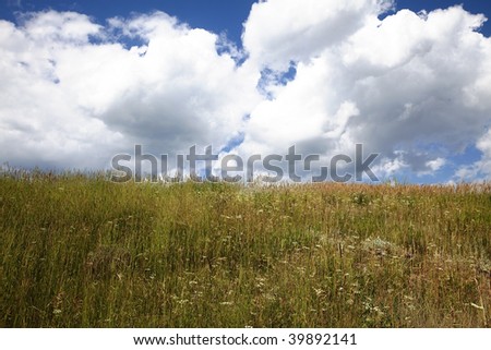 Grassy meadow with puffy clouds in the background