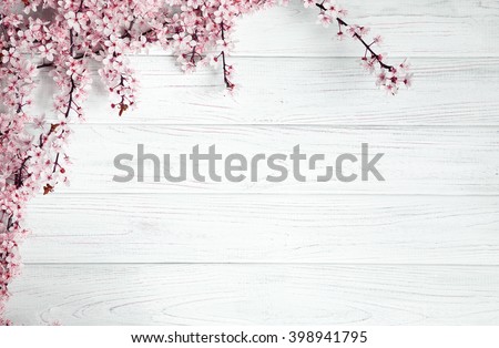 fruit tree flowers on the white wooden background.