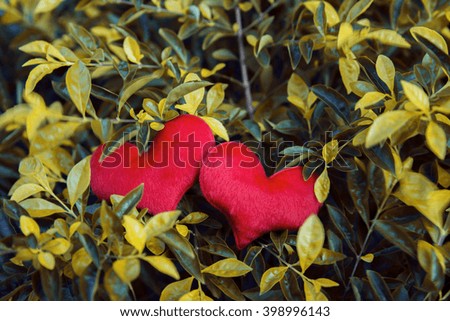 Two red Heart on leaves
