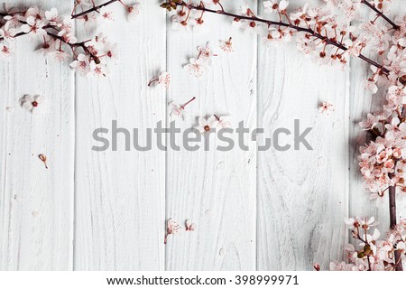 fruit tree flowers on wooden background.