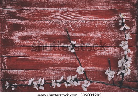 Vintage wooden red background with a branch of cherry blossoms