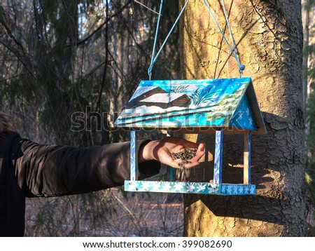 Beautiful wooden birdhouse feeder (nesting box) hanging on a tree in the park. Taking care of animals. A man feeding the birds. Spring is coming.