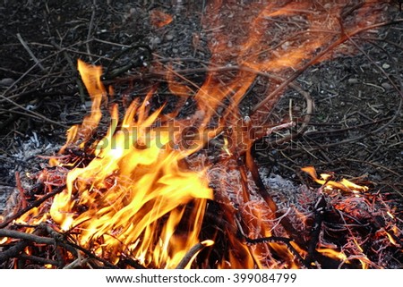Flames burning in the bonfire