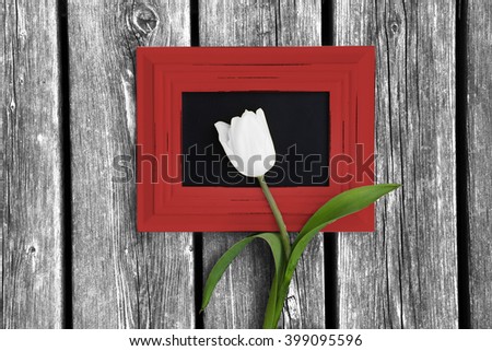 Tulip in picture frame on old wooden floor 1