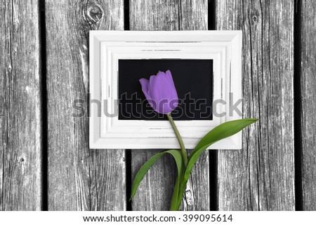 Tulip in picture frame on old wooden floor 3