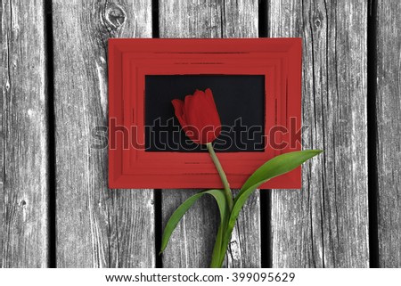 Tulip in picture frame on old wooden floor 2