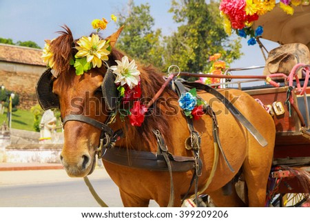Lampang, Thailand - February 3, 2015: The horse carriage in Lampang at Wat Phra That Lampang Luang , Lampang province