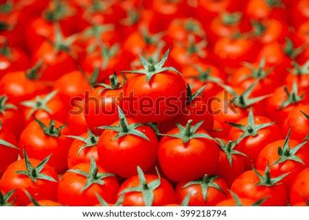 multitude of cherry tomatoes close up view