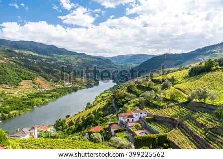 Landscape of the Douro river regionin Portugal -  Vineyards Royalty-Free Stock Photo #399225562