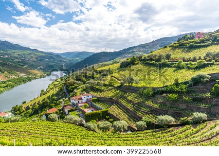 Landscape of the Douro river regionin Portugal -  Vineyards Royalty-Free Stock Photo #399225568