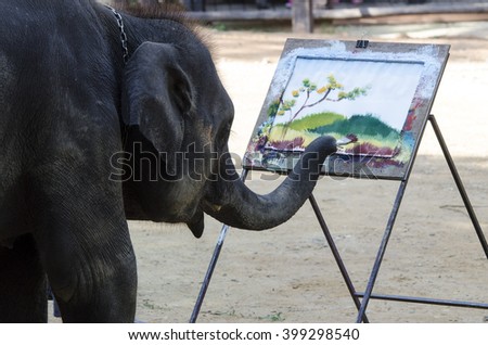 small elephant  painting picture with paint brush in elephant camp Maesa in Thailand