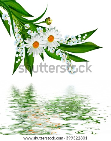  flowers lily of the valley. Flowers of lilies of the valley isolated on white background.