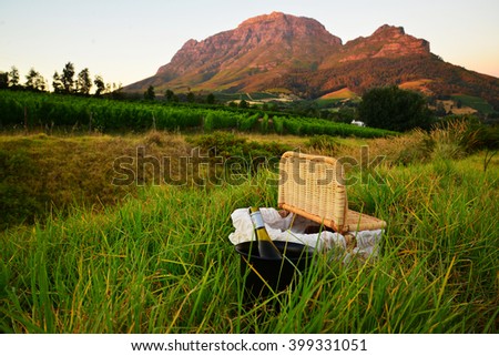 picnic in the wine lands of the cape Royalty-Free Stock Photo #399331051